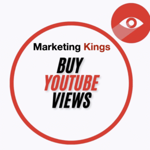 Basic Plan - Get 5000 youtube video views through google ads Organic